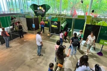 Can you survive as a wild butterfly? Do your odds increase in a farmed setting? Discover sustainable rainforest practices, rescue caterpillars, help feed them, and fly through the rainforest canopy.